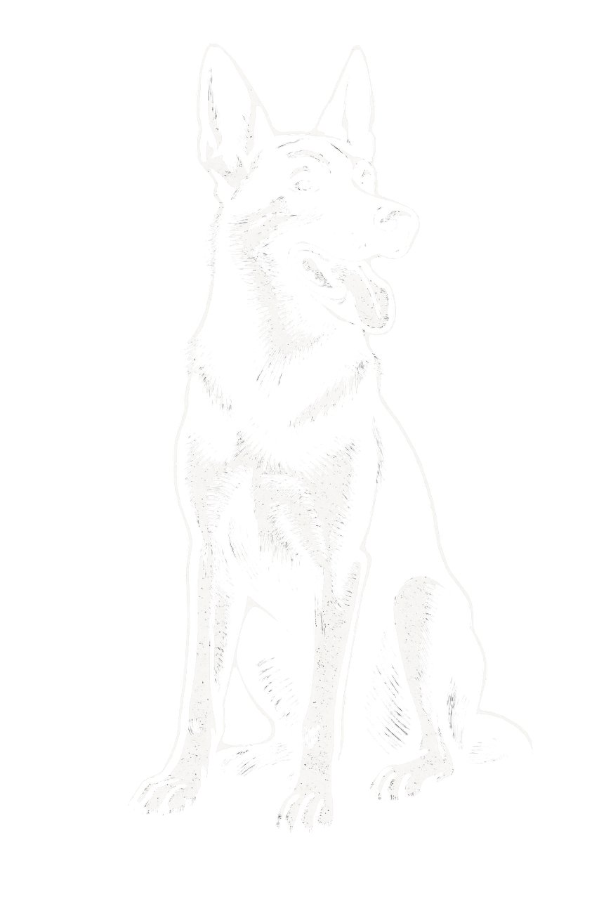 Imagen centro Rock A Dog