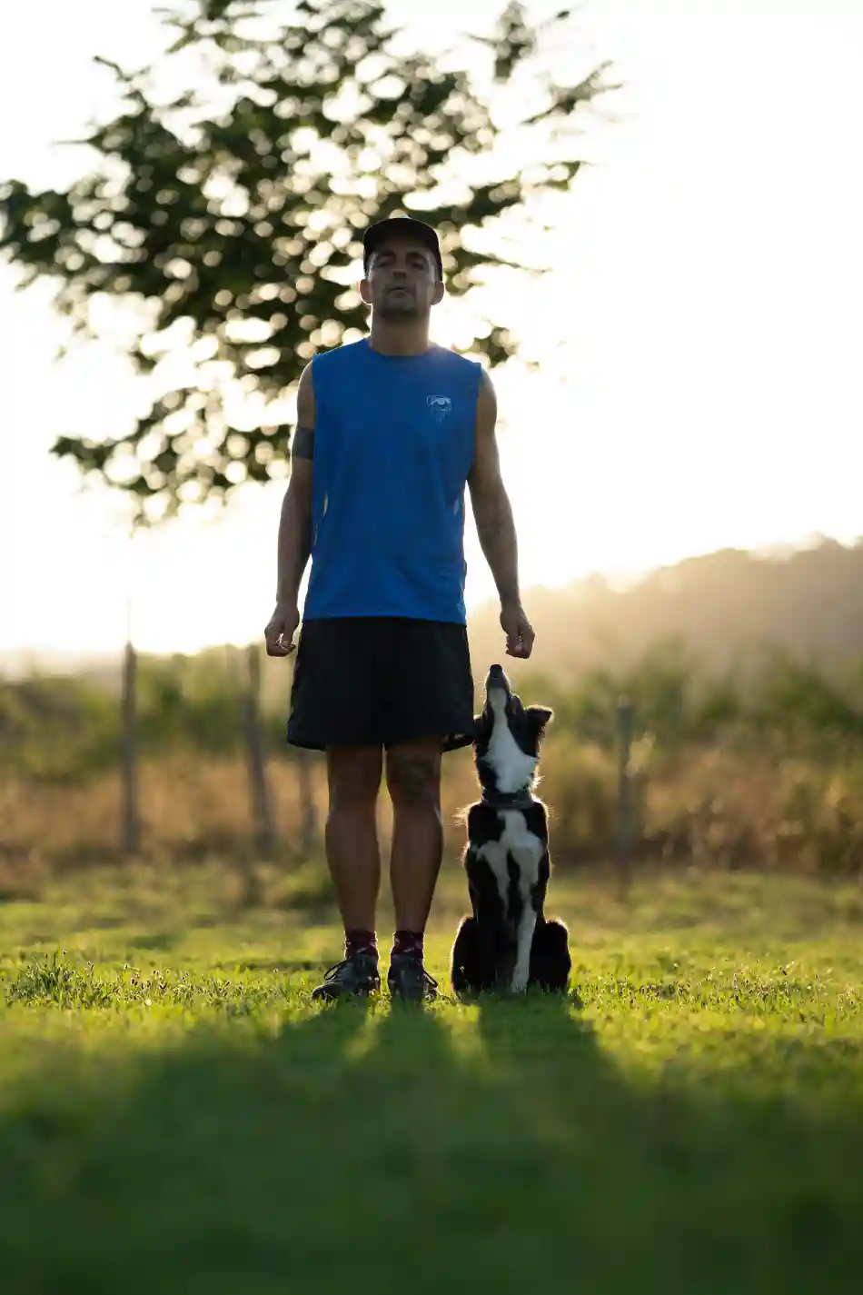 David González - Rock A Dog